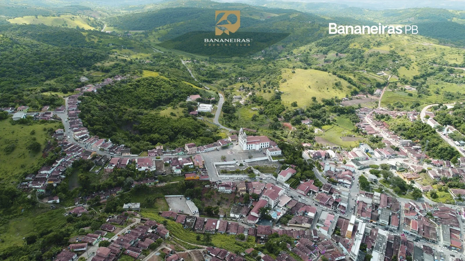 Bananeiras?